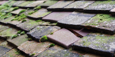 Rumney roof repair costs